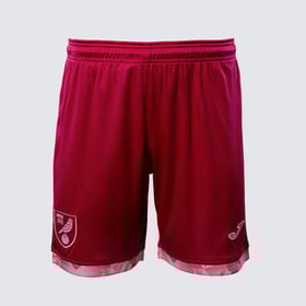 Kid's Norwich City 2025/26 Third Shorts