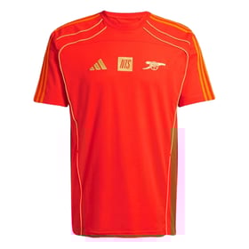 Herren Arsenal x NTS 2025/26 Urban Purist Trikot - Orange
