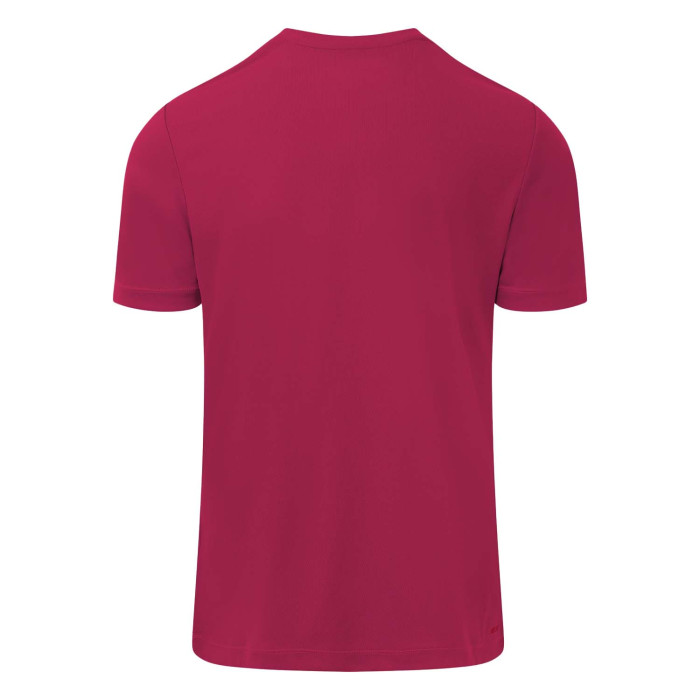 Herren Cardiff City 2024/25 Dritt Authentisches Trainingsshirt - Rot