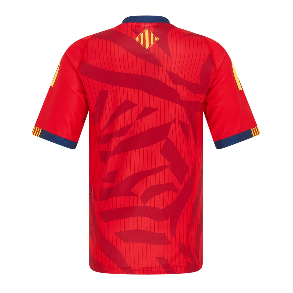Men's USA Perpignan 2025/26 Away Warm Up Shirt