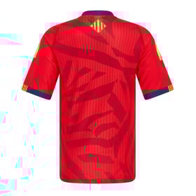 Men's USA Perpignan 2025/26 Away Warm Up Shirt
