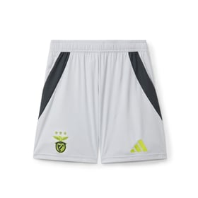 Herren SL Benfica 2024/25 Drittes Authentisches Shorts