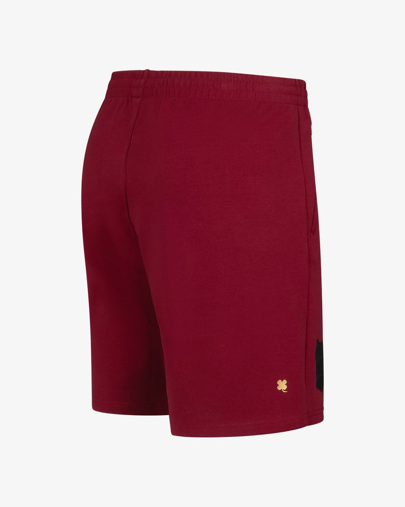Men's N.E.C. Nijmegen 2024/25 Third Presentation Shorts