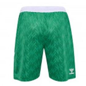 Kinder Werder Bremen 1846 2024/25 Heimshorts - Grün