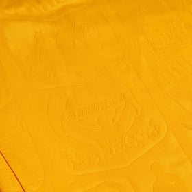 Kinder Dynamo Dresden 2026/27 Dritte Shorts – Gelb