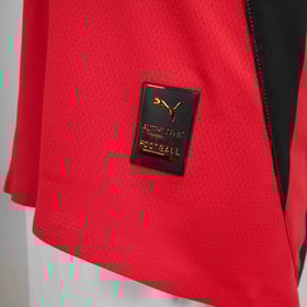 Herren Mailand 2024/25 Heim Authentische Shirt