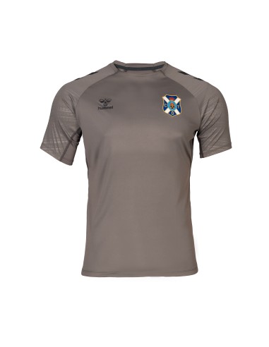 Kinder CD Tenerife 2024/25 Dritt Authentisches Trainingsshirt - Grau