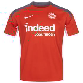 Herren Eintracht Frankfurt 2024 Dritt Authentisches Trainingsshirt Europa