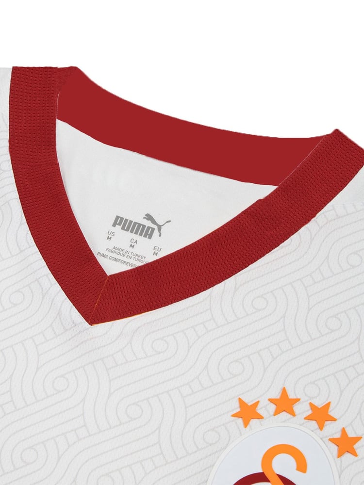 Herren Galatasaray 2024/25 Auswärtstrikot