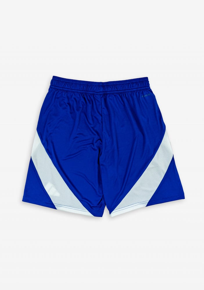 Herren Straßburg 2024/25 Auswärts Shorts
