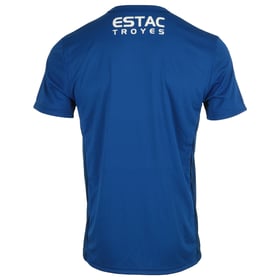 Herren Troyes 2024/25 Drittes Authentisches Training Shirt