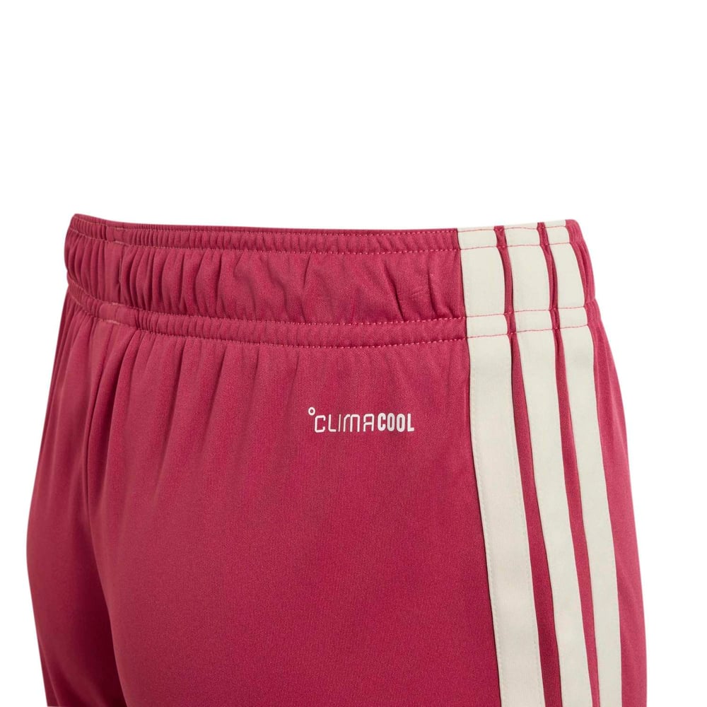 Pantaloncini Bambino Real Madrid 2026/27 Terzi