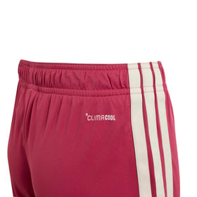 Pantaloncini Bambino Real Madrid 2026/27 Terzi