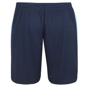 Herren Crystal Palace 2024/25 Drittshorts Training Authentic