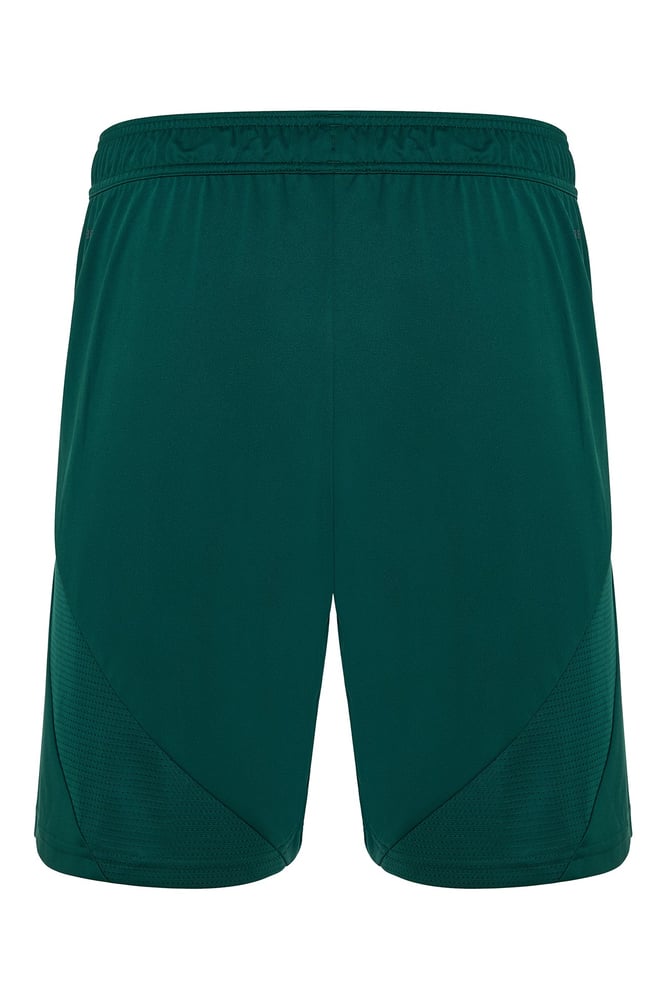 Women's Panathinaikos FC 2024/25 Home Shorts