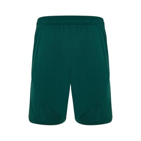 Women's Panathinaikos FC 2024/25 Home Shorts