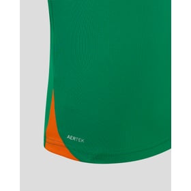 Herren Irland 2025 Frauen-Team Heimtrikot