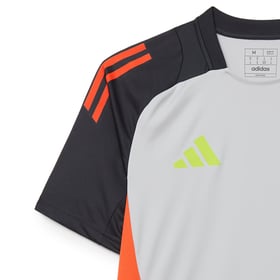 Damen SL Benfica 2024/25 Drittes Authentisches Trainings-Trikot - Grau