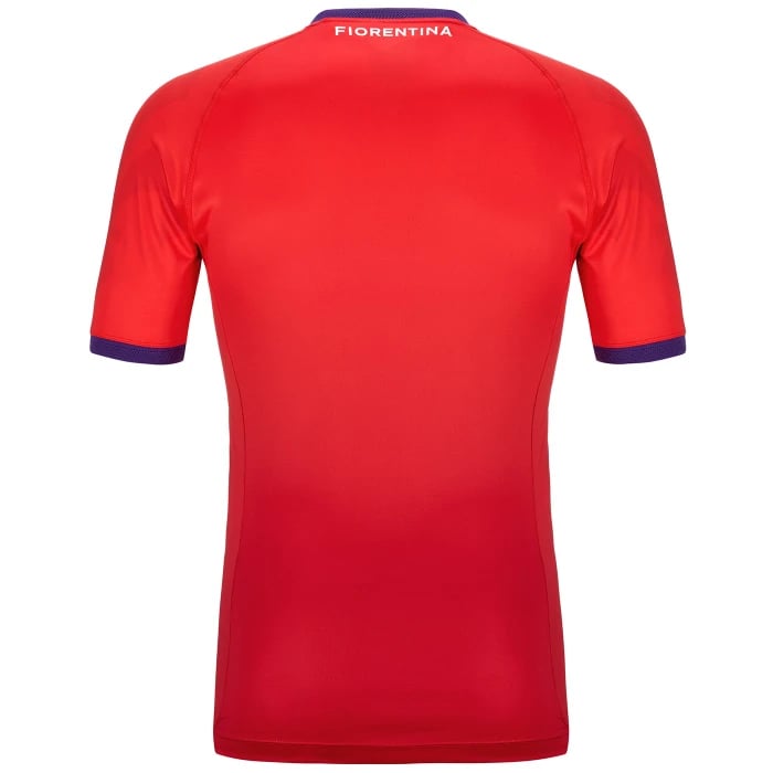Herren Fiorentina 2024/25 Drittentrikot Authentisch Pro