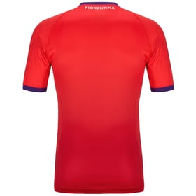 Herren Fiorentina 2024/25 Drittentrikot Authentisch Pro