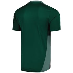 Herren Aston Villa 2024/25 Dritttrikot Training Authentic - Dunkelgrün