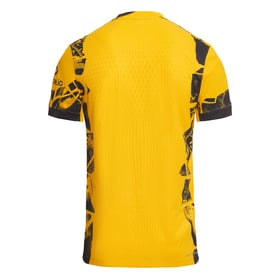 Herren Inter 2024/25 Dritttrikot