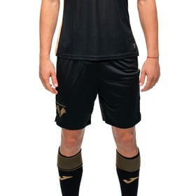 Men's Hellas Verona 2024/25 Third Shorts