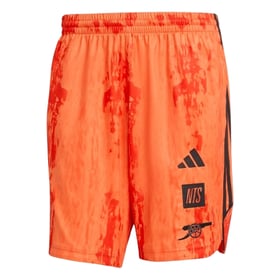 Kinder Arsenal x NTS 2025/26 Urban Purist Shorts