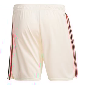 Herren Flamengo 2025 Dritte Shorts