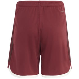 Men's Bayern Munich 2023/24 Third Shorts