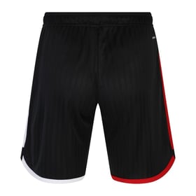 Herren Fulham 2023/24 Heimshorts