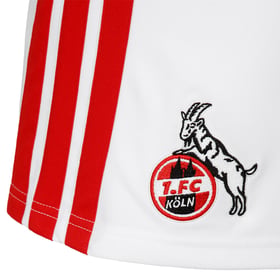 Pantaloncini Home 1. FC Köln 2026/27 Donna