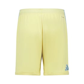 Herren Grasshopper Club Zürich 2026/27 Sondershorts