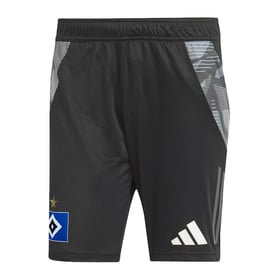 Herren Hamburger SV 2024/25 Drittes Authentisches Trainingsshorts