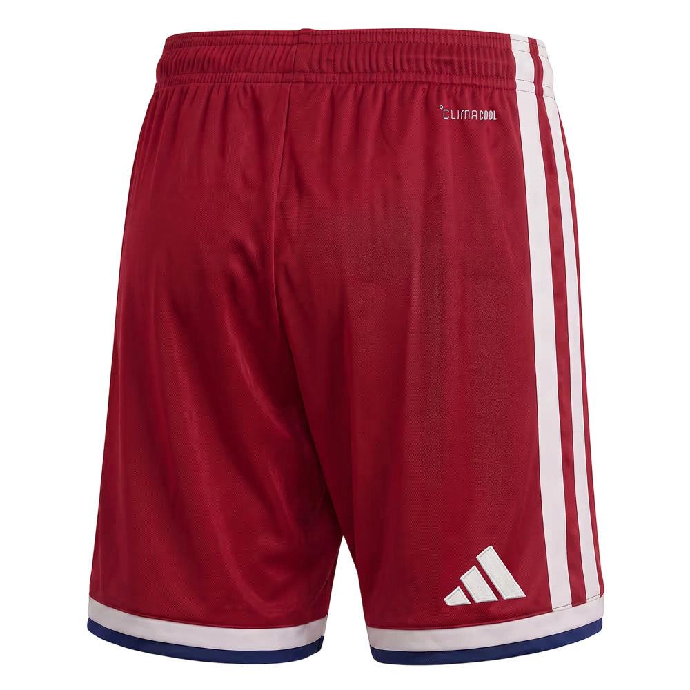 Terzi pantaloncini da bambino Hamburger SV 2026/27 - Rosso