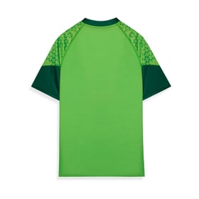 Women's Palmeiras 2024 Third Authentic Training Shirt