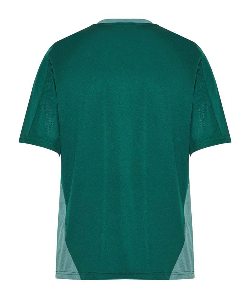 Men's Panathinaikos FC 2024/25 Third Authentic Training Shirt - Green