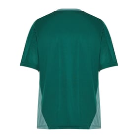 Men's Panathinaikos FC 2024/25 Third Authentic Training Shirt - Green