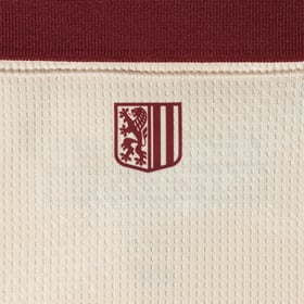 Herren Dynamo Dresden 2025/26 Auswärtstrikot