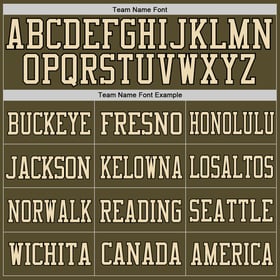 Football Mesh Authentic Jersey To Camo-Black Service Olive Custom Salute