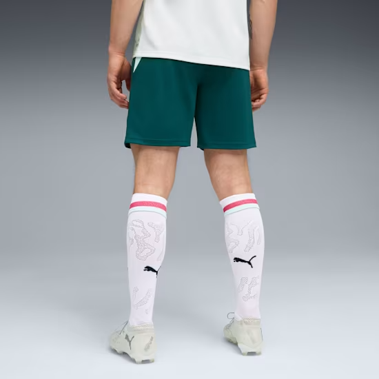 Men's Austria 2026 Away World Cup Shorts