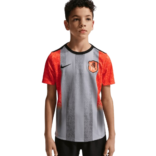 Niño Chelsea 2025/26 Tercera Camiseta Pre-Partido Gris
