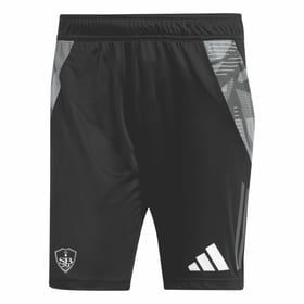 Men's Brest 2024/25 Third Authentic Training Shorts  -  Black