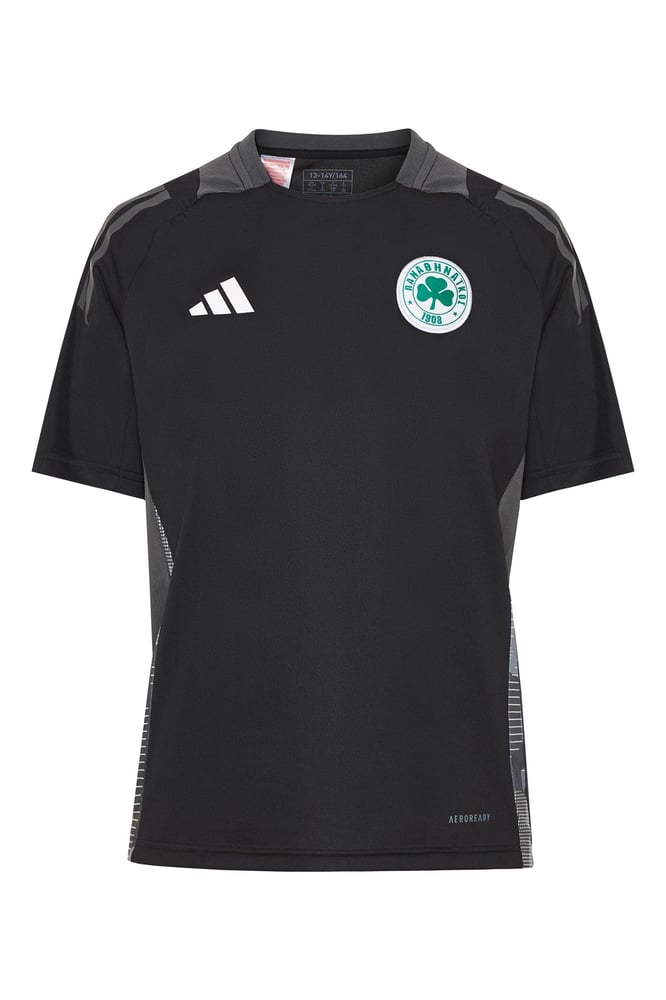Men's Panathinaikos FC 2024/25 Third Authentic Training Shirt - Black