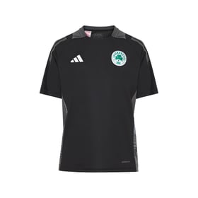 Women's Panathinaikos FC 2024/25 Third Authentic Training Shirt - Black