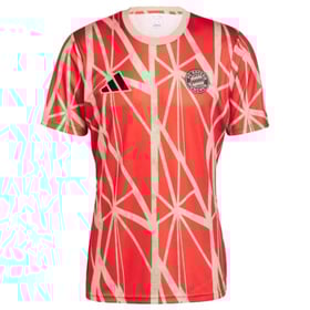 Herren Bayern München 2024/25 Dritte Pre Match Trikot