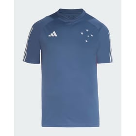 Men's Cruzeiro 2024 Third Authentic Training Shirt - Grey
