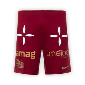 Herren BSC Young Boys 2025/26 Dritte Shorts
