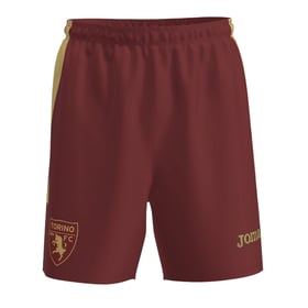 Men's Torino 2023/24 Third Authentic Training Shorts