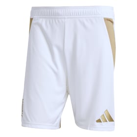 Herren Los Angeles FC 2025 Auswärts Shorts